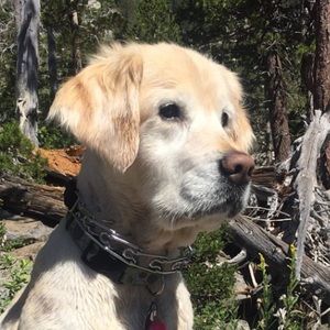 Meet your Posher, Kasey